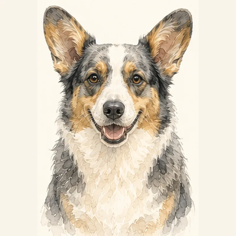 Cardigan Welsh Corgi illustration