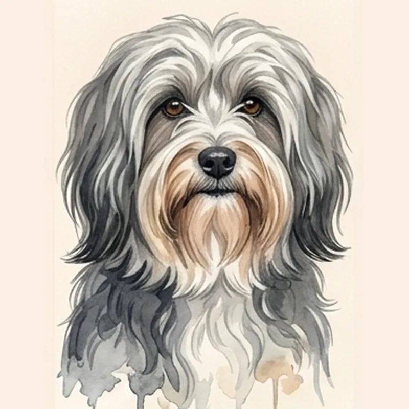 Löwchen illustration