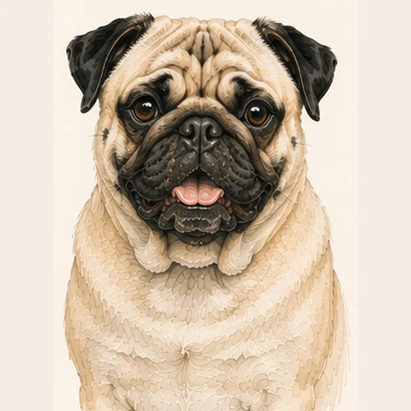 Pug illustration