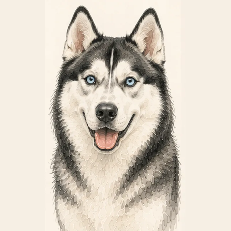 Siberian Husky illustration