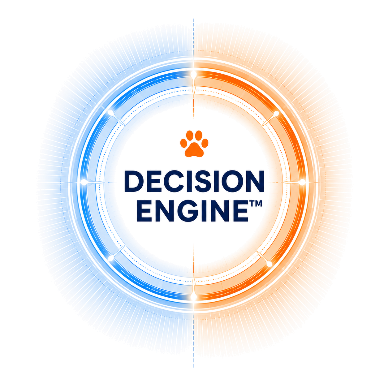 Decision Engine